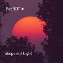 Pat Riot - Glimpse of Light