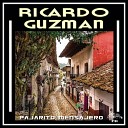 Ricardo Guzman - Martes Trece