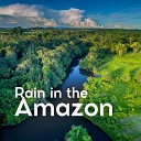 Rainforest Sounds - Unexpected Rainy Day