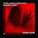 PASSIK Robbe Robin White feat techno rave - Bloody Mary