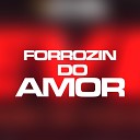 Brazilian Remix Tv - Forrozin do Amor