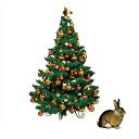 Samsa beats Zhekич - Rabbit under the Christmas Tree