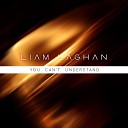 Liam Laghan - You Can t Understand Extended Mix