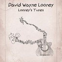 David Wayne Looney - Falling Again Sink or Swim