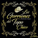 Los Gorriones Del Topo Chico - Muchachas Alegres Instrumental