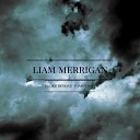 Liam Merrigan - Dark Days in December