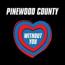 Pinewood County - It Takes Time to Mend a Broken Heart
