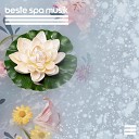 Entspannende SPA Musik Zone - Wasser Musiktherapie