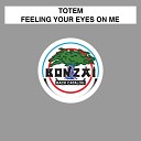 Totem - Feeling Your Eyes On Me The Mackenzie Remix