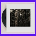 Francois Dillinger - Navigating the swamp Vinyl edit