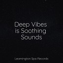 Sonidos de la Naturaleza Soothing Nature Sounds Deep Relaxation Meditation… - Relax Yourself to Sleep