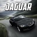 Qara 07 - Jaguar