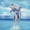 BeaveR - Dolphins Imagination