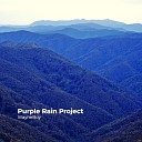 WayneBoy - Purple Rain Project