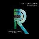 The Stupid Experts - Northern State Moroshka Remix