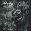 Infected Chaos - Lethargia