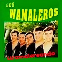 Los Wamaleros Cumbias Poblanas Cumbias… - Canta y no llores