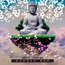 Buddha Bar BR - In A Silent Way