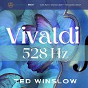 Ted Winslow - Summer Concerto No 2 in G Minor L estate…