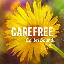 Colibri Sound - Carefree