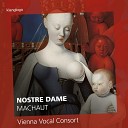 Vienna Vocal Consort - Ave Maris Stella