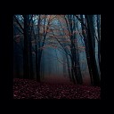 stormloop - Mist in the Wood