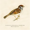 Pangolin Dreams Odokuro - House Sparrow