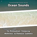 Ocean Sounds by Dominik Agnello Ocean Sounds Nature… - Sea Waves