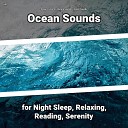 Ocean Currents Nature Sounds Ocean Sounds - Asmr Ambience for Your Baby