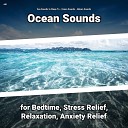 Sea Sounds to Sleep To Ocean Sounds Nature… - Beach Sounds for Dog Barking