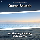 Sea Waves Ocean Sounds Nature Sounds - Beach Sounds for Calming Baby