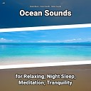 Ocean Waves Ocean Sounds Nature Sounds - Asmr Ambience for Kids