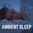 Baby Sleep Music - Soothing Ambience for Sleeping Babies Pt 45