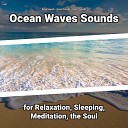 Wave Sounds Ocean Sounds Nature Sounds - Relaxing Water Sounds for Sleeping