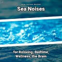 New Age Ocean Sounds Nature Sounds - Serene Ambient Background Noise