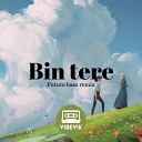 Vibevik - Bin Tere Future Bass