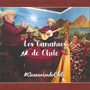 Los Canarios de Chile - Estoy Mejor Sin Ti