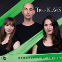 Trio KlaVis Miha Ferk Jenny Lippl Sabina… - Andante Con Dolore Con Molto Espressione