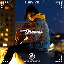 Survive - Dreams