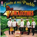 Los Halcones De Coalcoman - Canto a Mi Pueblo