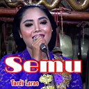 Erin Sabrina feat Tardi Laras - Semu