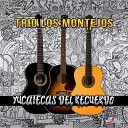 Trio Los Montejos - Para Olvidarte