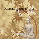 Buddha Frequencies - Positive Energy