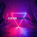 Exagon Tribe - Elektron
