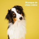 Musique pour Chiens - Le meilleur ami de l homme