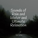 Rain Sound Plus Loopable Rain Soothing Nature… - Lapping Waves