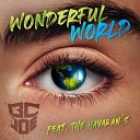 BcJoe feat The Havran s - Wonderful World
