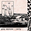 Gray Explorer - Night Garden