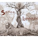 Saros - Contemplating the Labyrinth