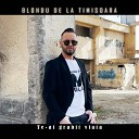 Blondu De La Timisoara - Te Ai Grabit Viata